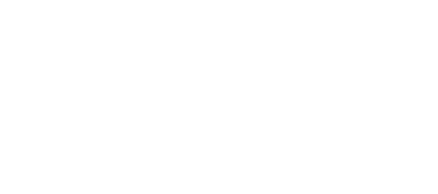 Dreamweavers