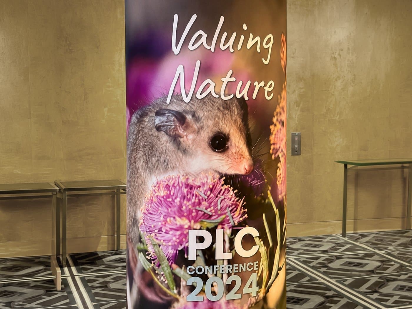 Printed pillar wraps installed in a shopping centre